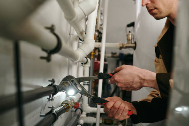 Best Drain Cleaning Services  in Shackle Island, TN