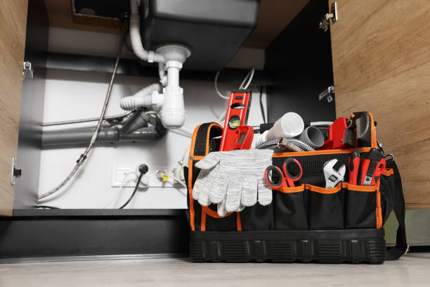 Best Best Plumbers Near Me  in Shackle Island, TN