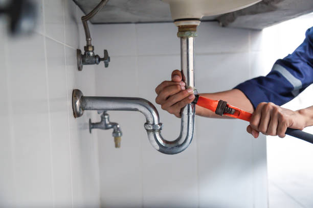 Best Local Plumber Services  in Shackle Island, TN