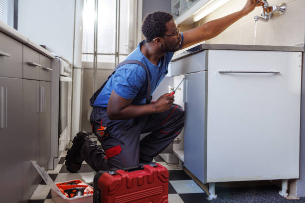 Best Affordable Plumbing Services  in Shackle Island, TN